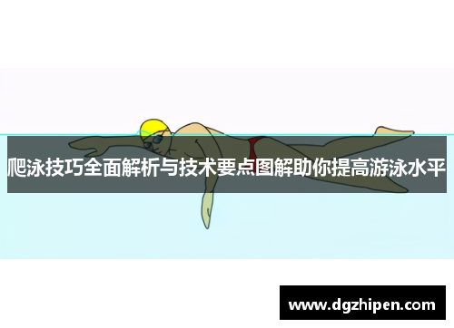 爬泳技巧全面解析与技术要点图解助你提高游泳水平